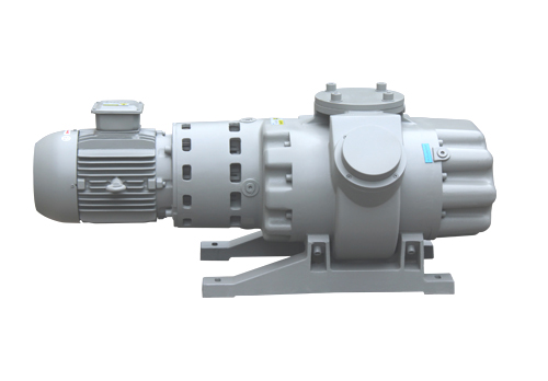 RV1000Y羅茨真空泵