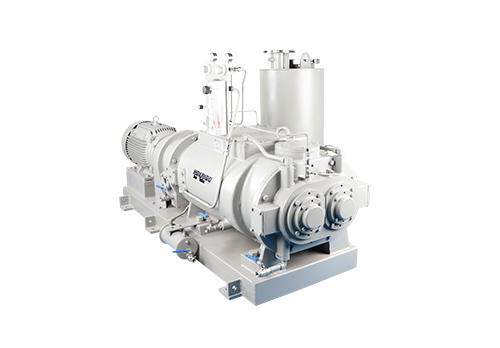 RKB0270干式螺桿真空泵